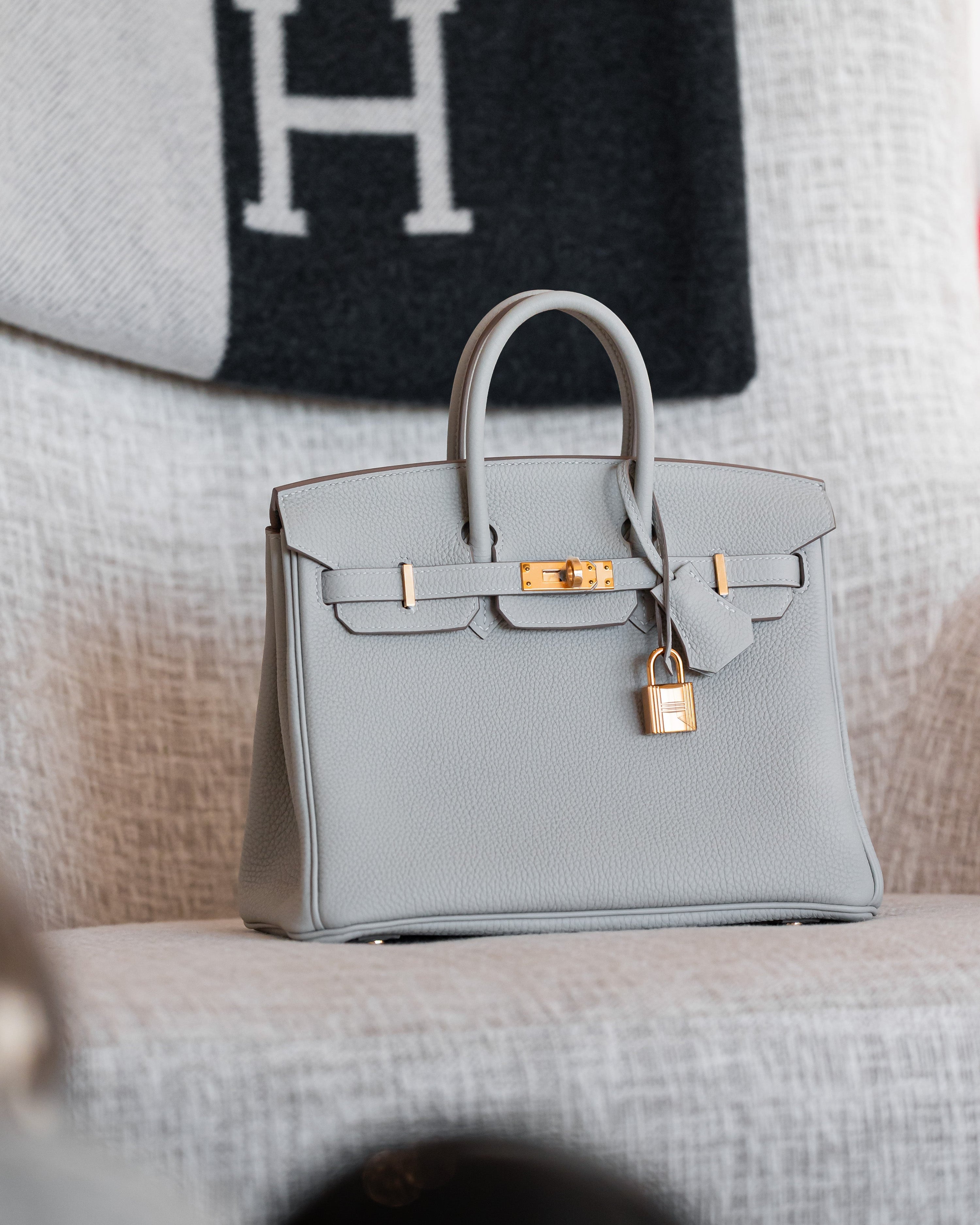 2021 Hermes Birkin 25 Gris Perle Togo GHW