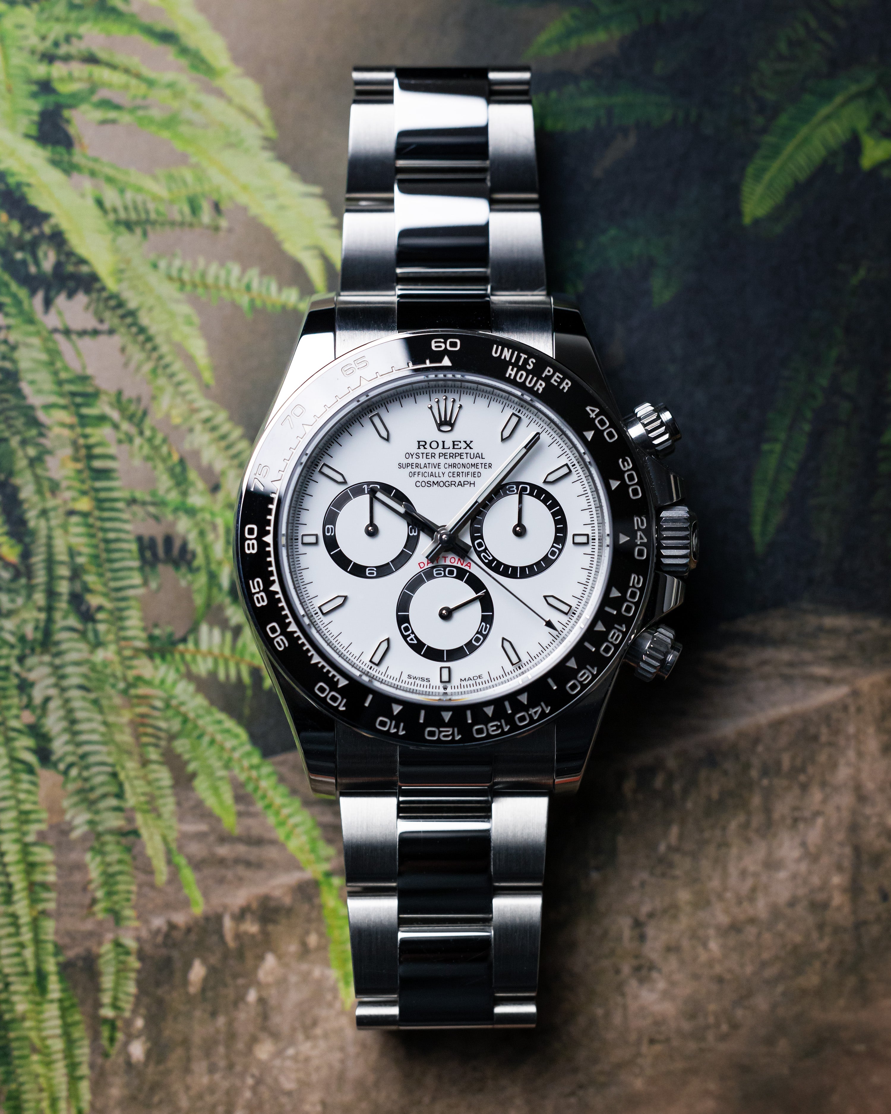 2025 Rolex Daytona Panda