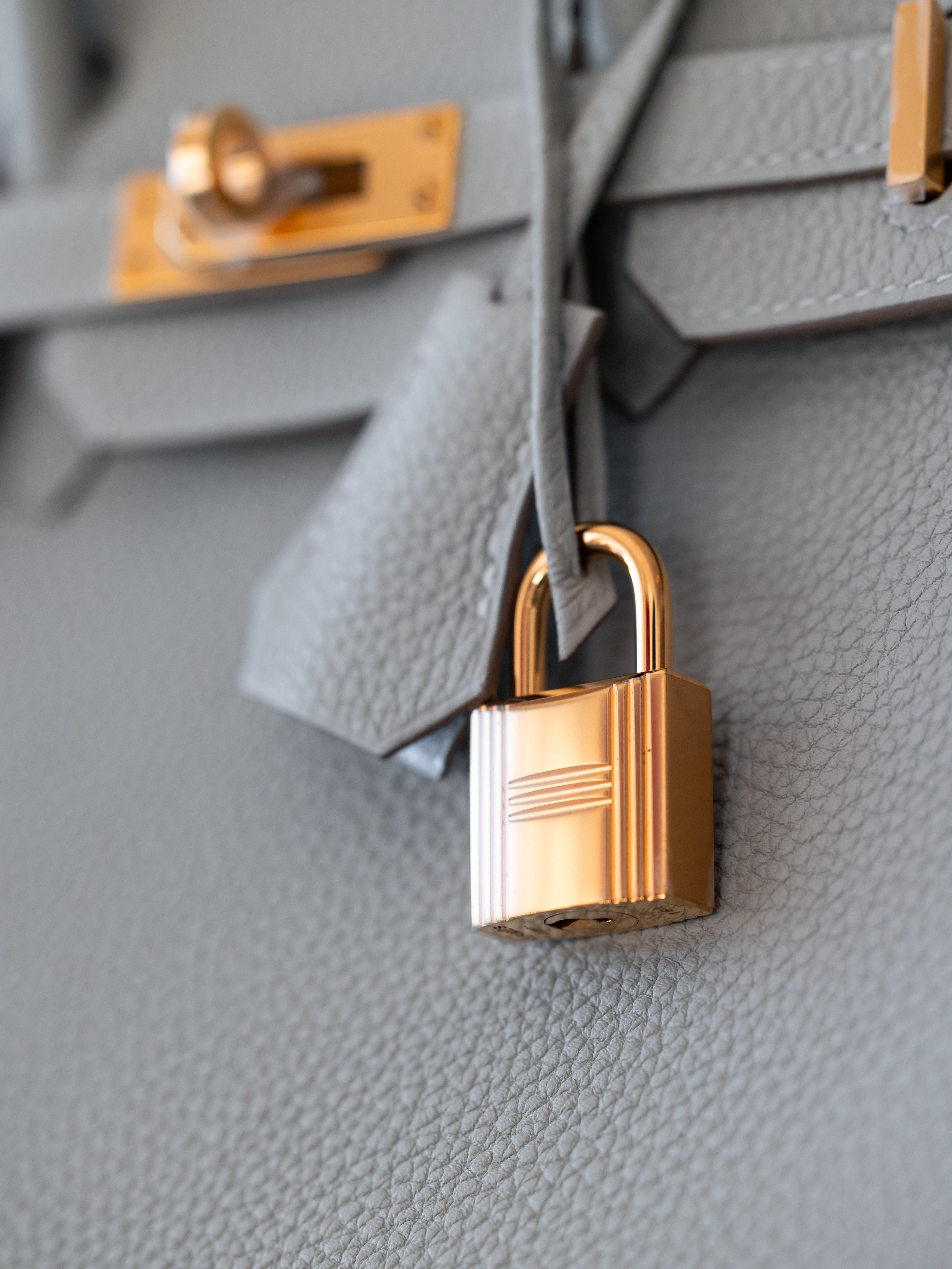 2021 Hermes Birkin 25 Gris Perle Togo GHW