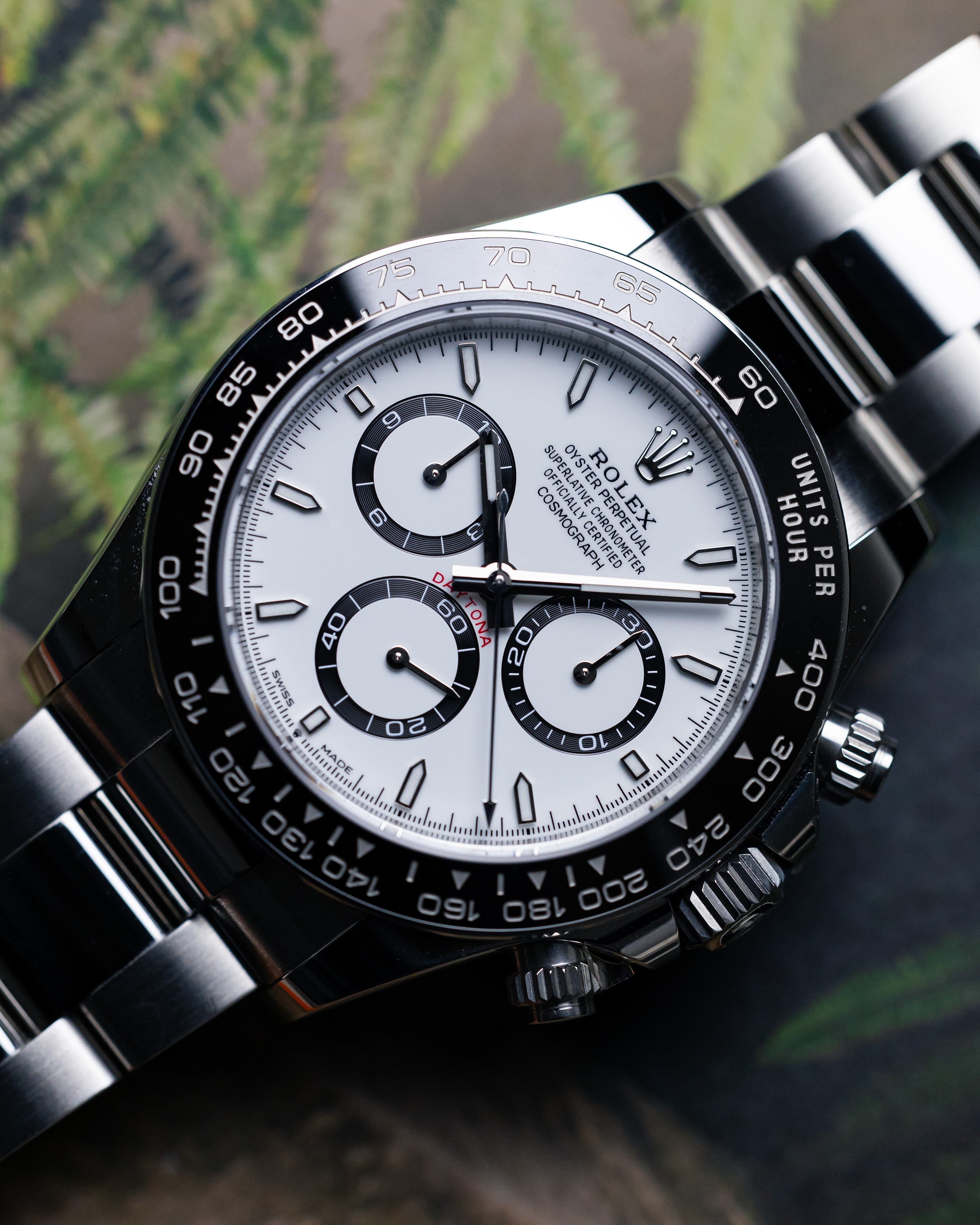 2025 Rolex Daytona Panda