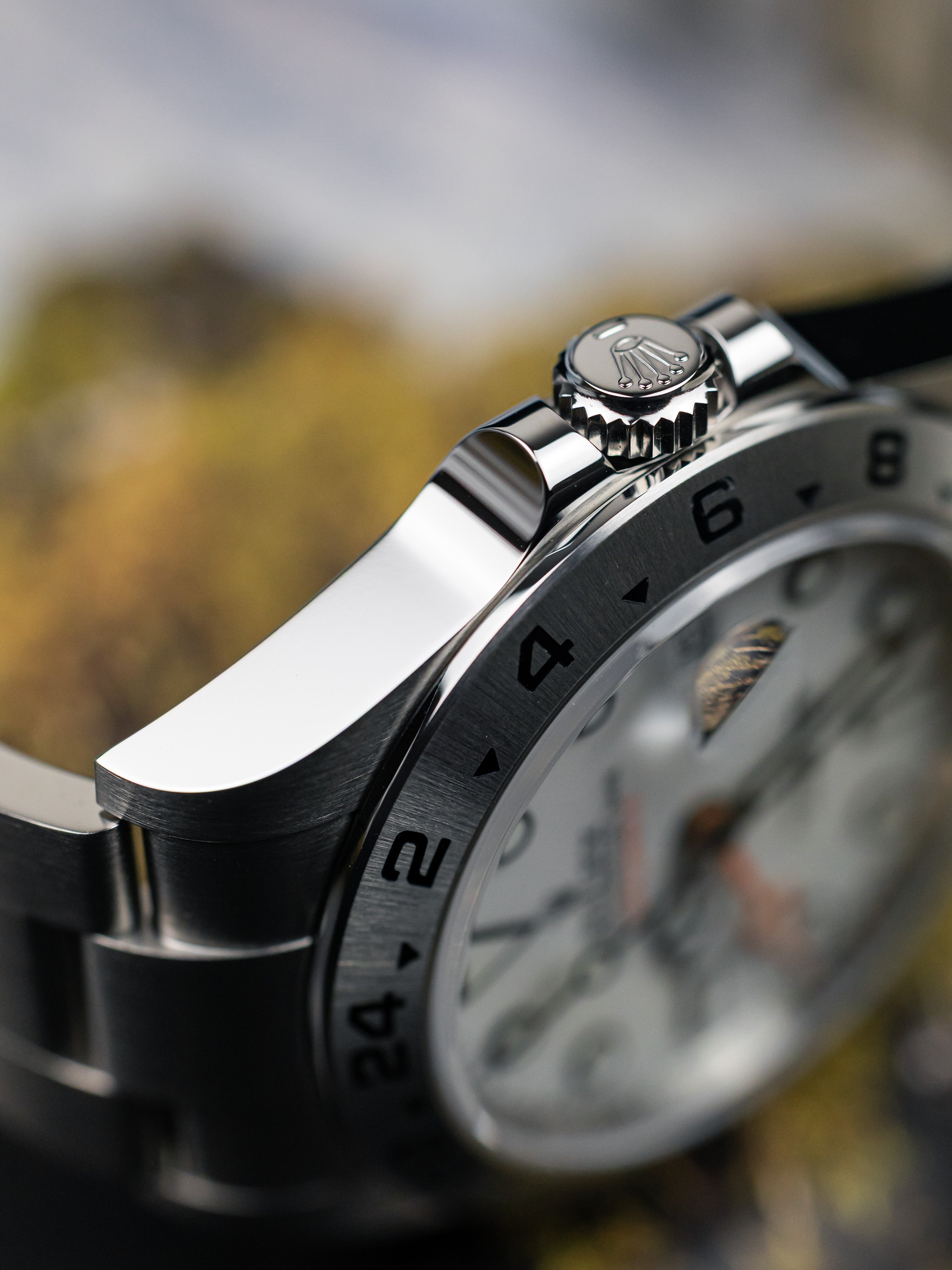 2025 Rolex Explorer II Polar